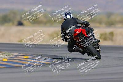 media/Dec-09-2023-SoCal Trackdays (Sat) [[76a8ac2686]]/Turn 14 Backside (1050am)/